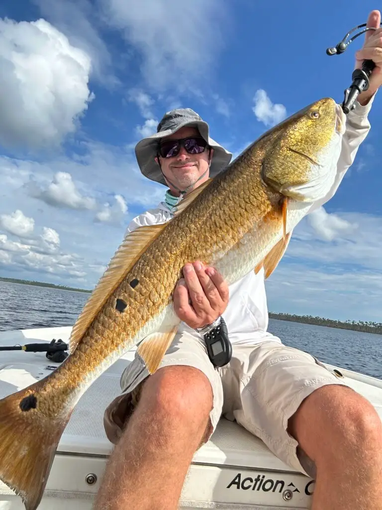 big bend redfish top water fishing memories keaton beach econfina